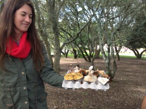 Mushrooms picked in Monsanto Park