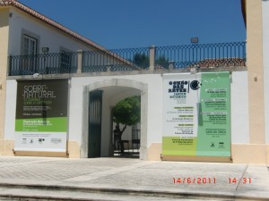 Lisbon's Centre for Contemporary Art